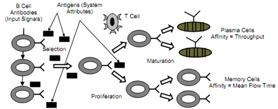 924_The Memory Cells.png